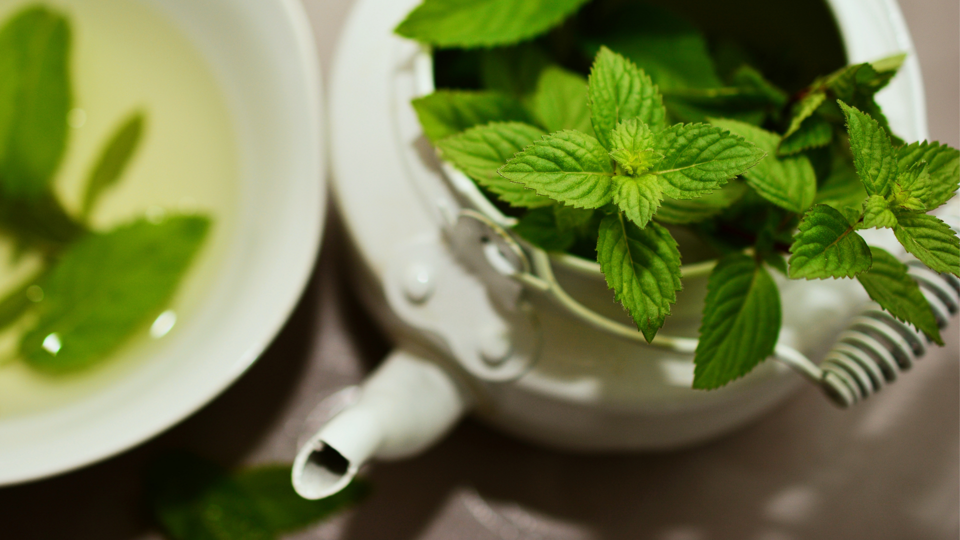 overhead shot of green tea pot filled with mint leaves