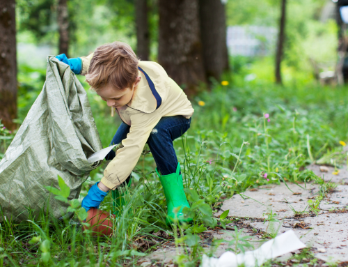 Environmental Science Degree: Is It a Good Investment in The Future