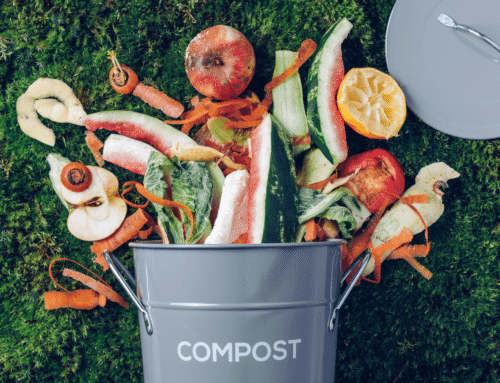 Composting Kitchen Scraps: A Beginner’s Guide to Efficient Waste Management